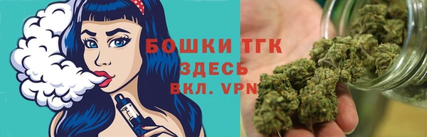 крисы Аркадак