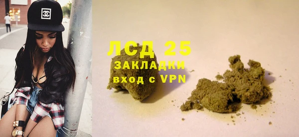 крисы Аркадак