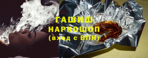 гашик Алексин